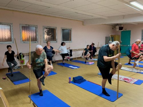 Activité de la forme