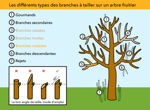 Atelier jardinage