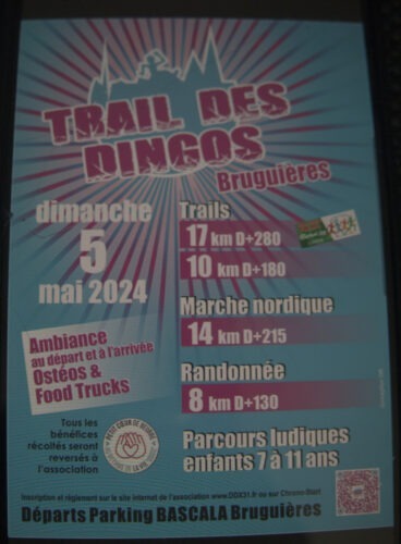 Trail des Dingos